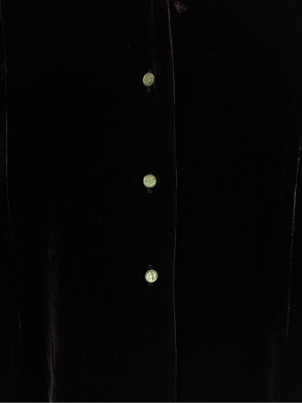 Ralph Lauren Dark Purple Velvet Button-Up top whimsy goth romantic size small - Picture 6 of 9